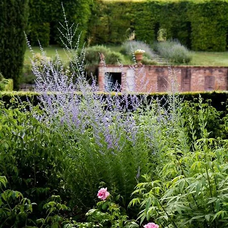Maison De Charme Au Pied De Cordes Villa